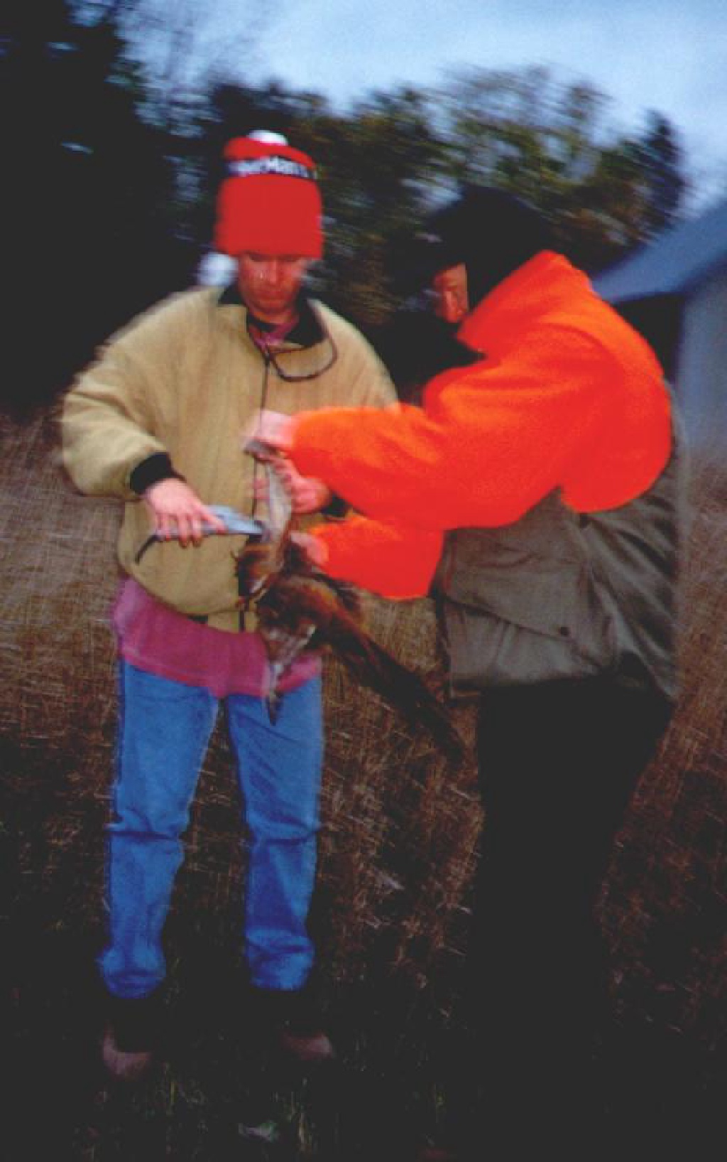 1998/11(November)/SD_Hunting/1024x768_1998-SD-Hunting-Kevin-Mike-Clipping-Pheasant-Wings.jpg