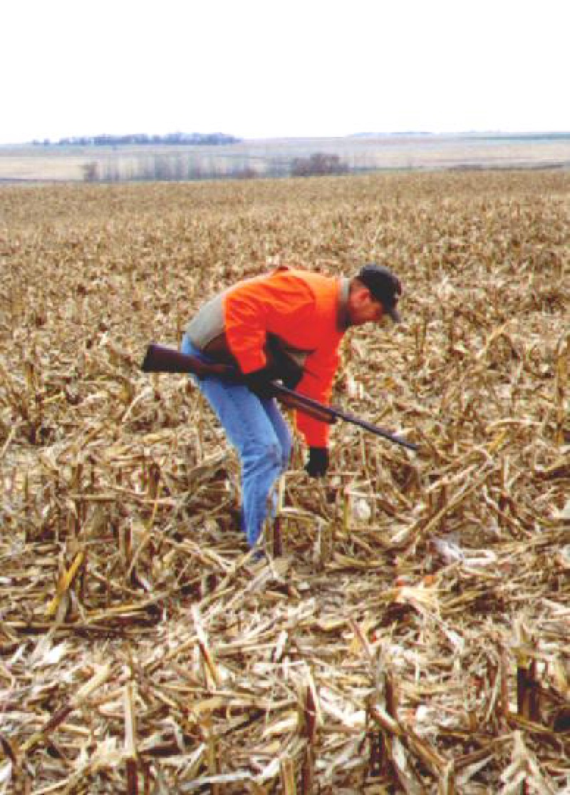 1998/11(November)/SD_Hunting/800x600_1998-SD-Hunting-Mike-looking-for-HUN.jpg