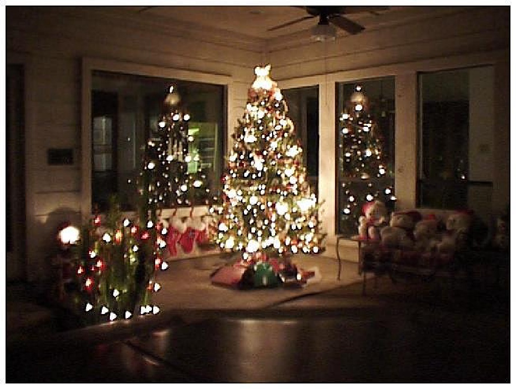 1998/12(December)/Christmas/1024x768_1998-12-xmas-a-tree1.jpg