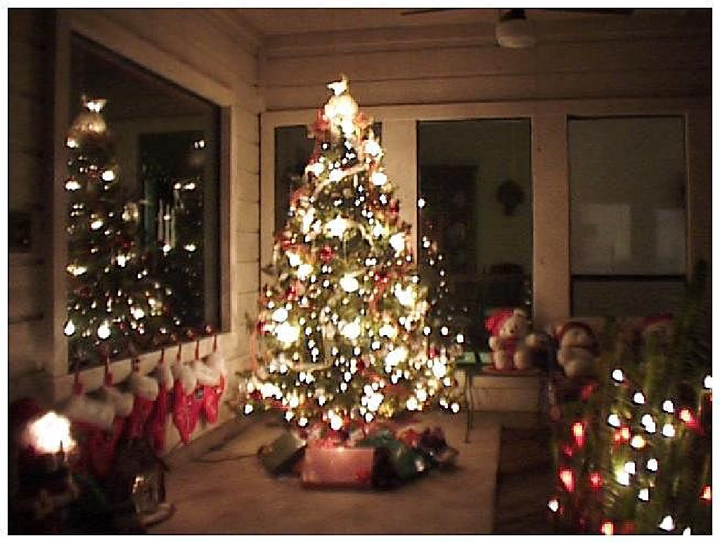 1998/12(December)/Christmas/1024x768_1998-12-xmas-a-tree3.jpg