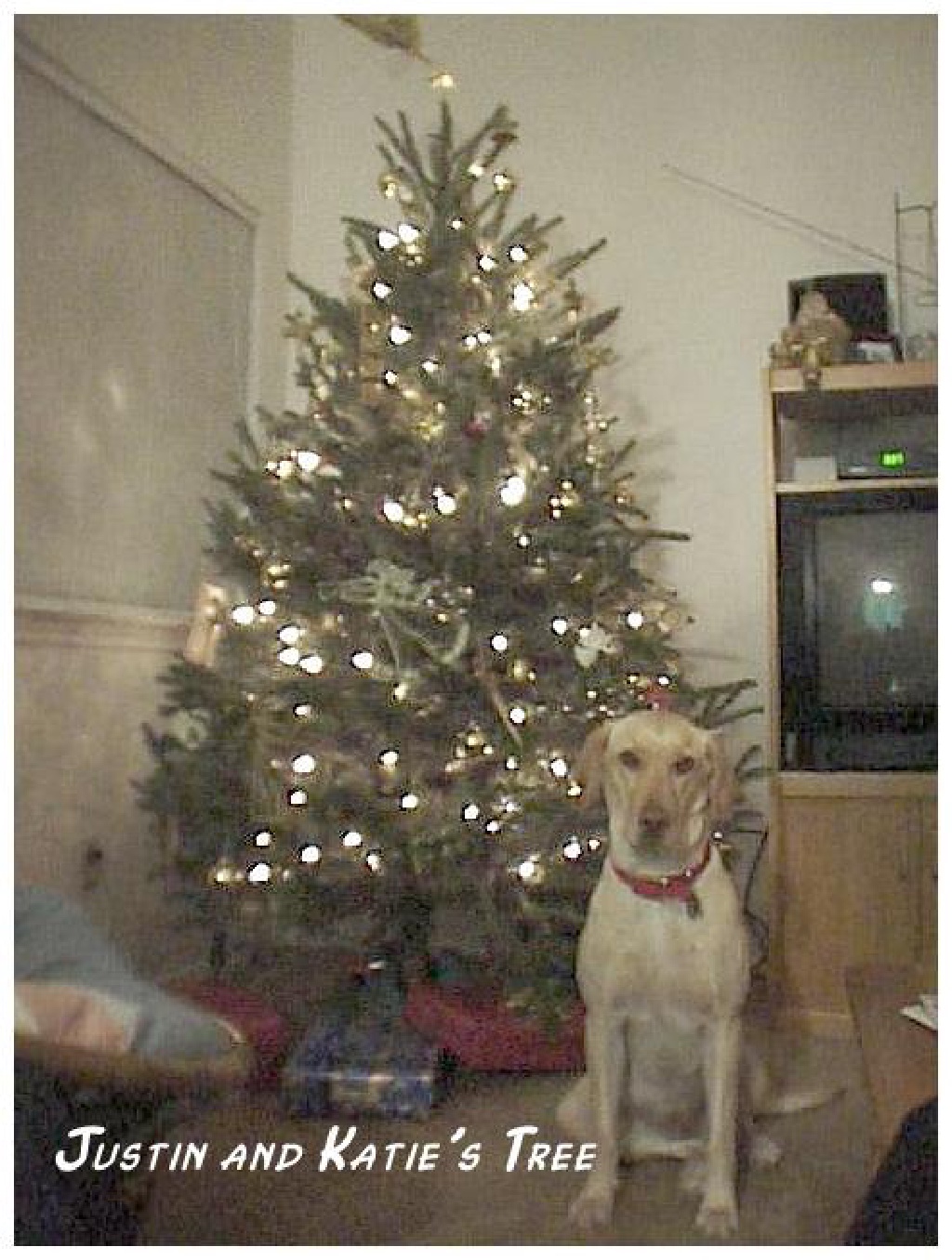 1998/12(December)/Christmas/1024x768_1998-12-xmas-x-Tree-Dakota2.jpg