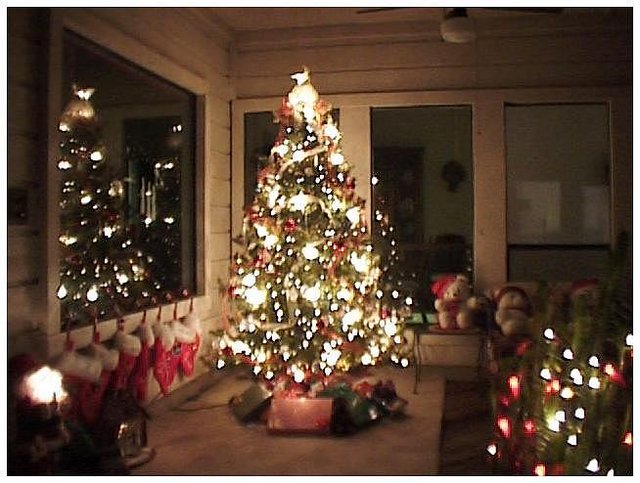 1998/12(December)/Christmas/640x480_1998-12-xmas-a-tree3.jpg