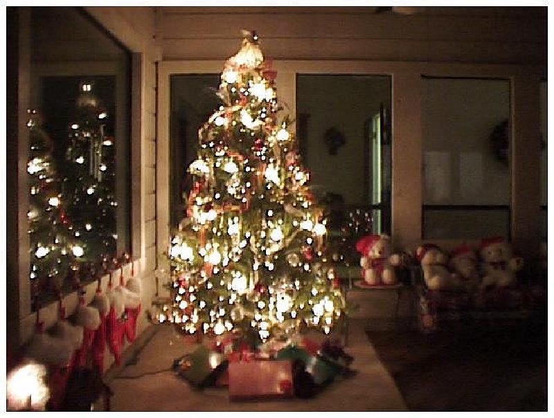 1998/12(December)/Christmas/800x600_1998-12-xmas-a-tree4.jpg