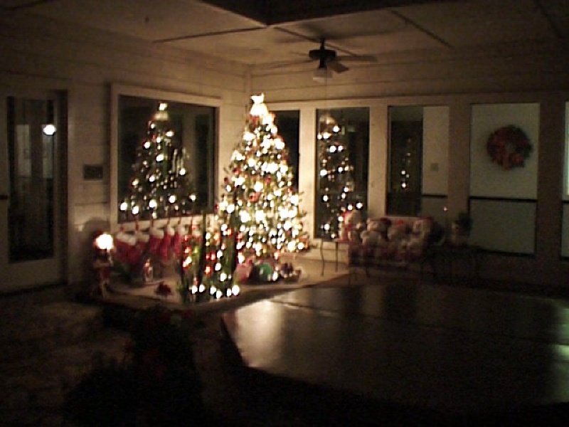 1998/12(December)/Christmas/old/800x600_1998-12-Xmas-Tree2.jpg