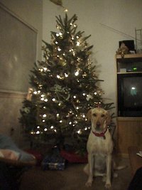 1998-12-Xmas-Tree-Dakota2.jpg