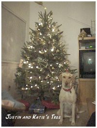 1998-12-xmas-x-Tree-Dakota2.jpg