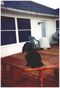 1998-12-xmas-zz-scout-deck.JPG