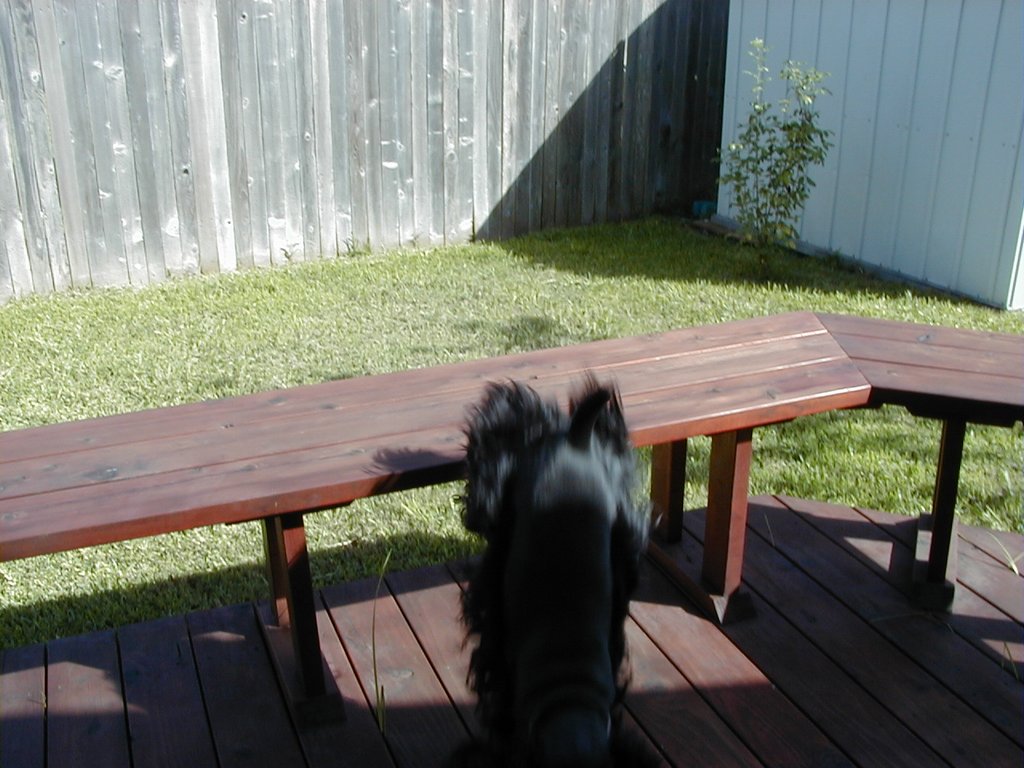 P6280005.JPG