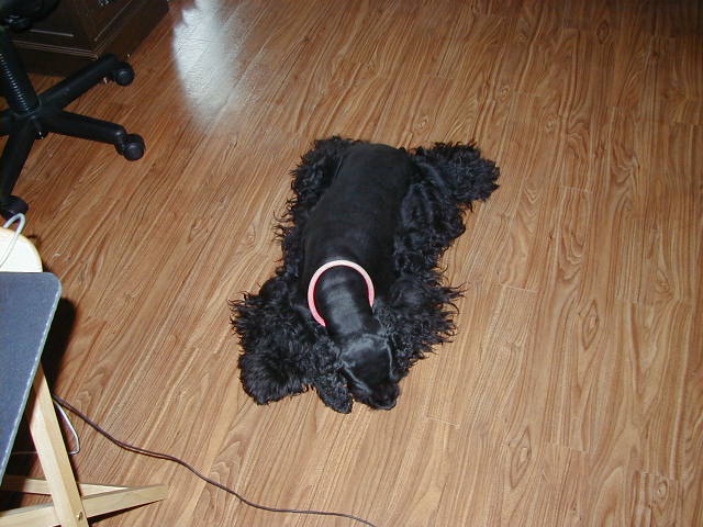 1999/06(June)/New_Camera_Test/640x480_sq.jpg