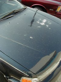 1999_09_Honda_Before02.JPG