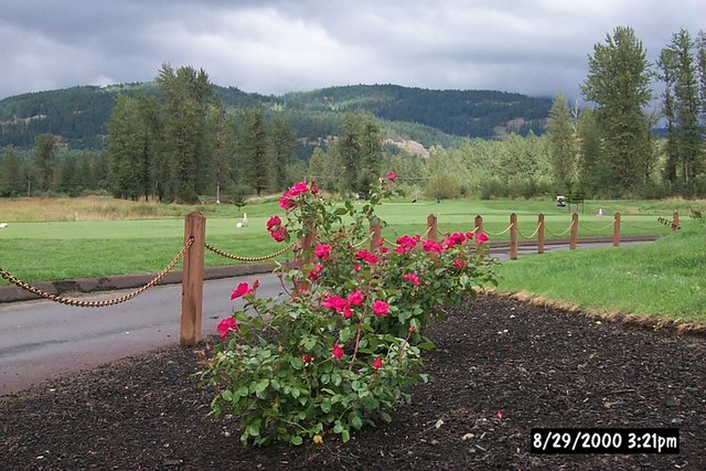 P0000044.jpg