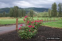 P0000044.jpg