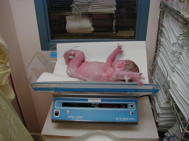 1999/10(October)/05_Chance_Scott/640x480_19991005_ChanceScott12.jpg