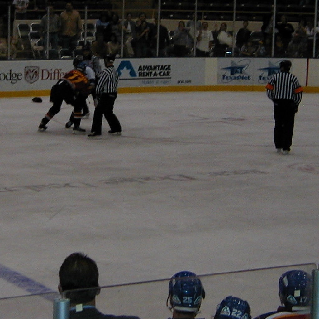 2000/01(January)/IceBats/1024x768_2000-01-22-IceBats-Fight-6.JPG