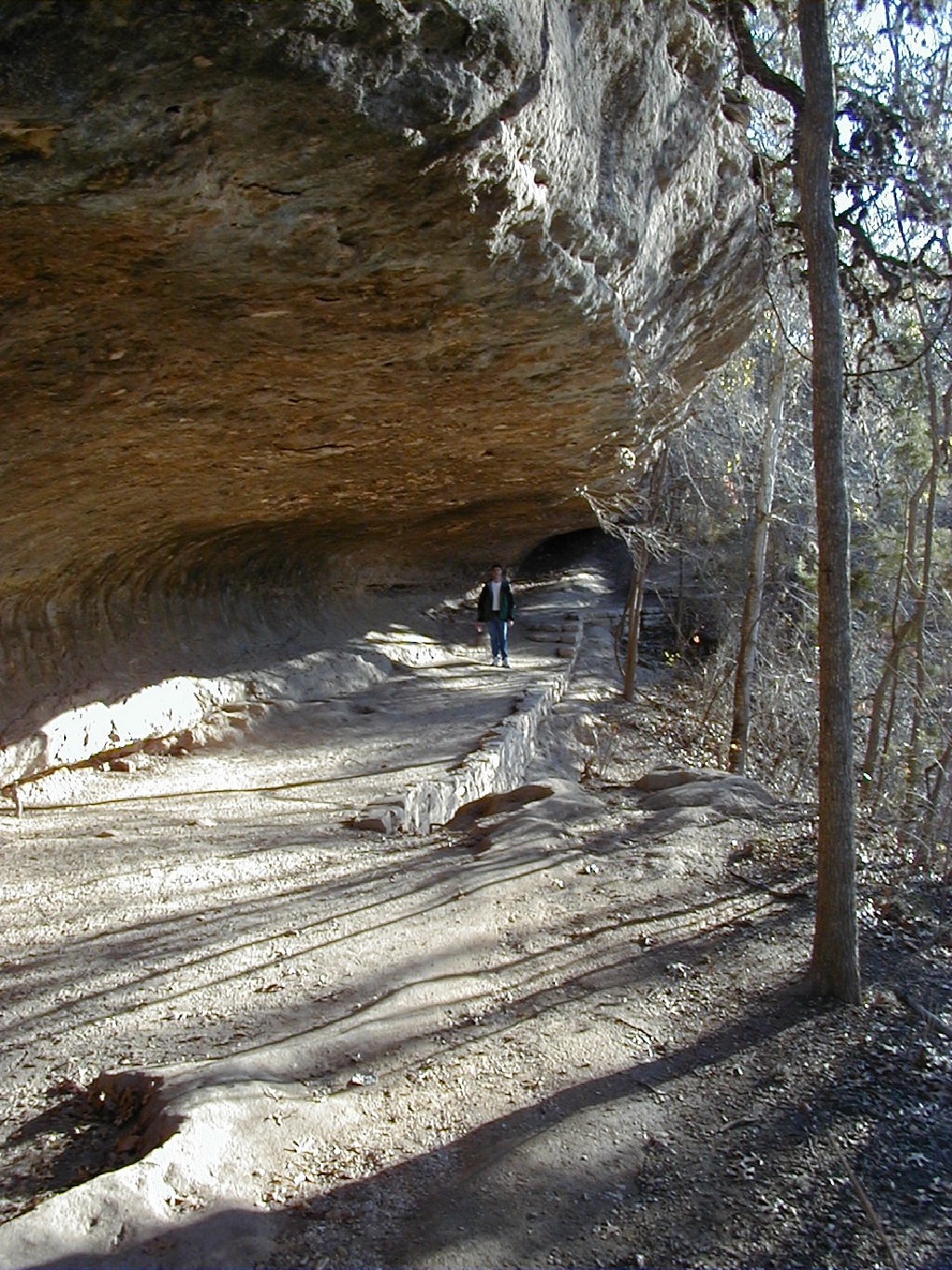 2000/02(February)/camping/1024x768_2000-02-04-Camping-02.jpg