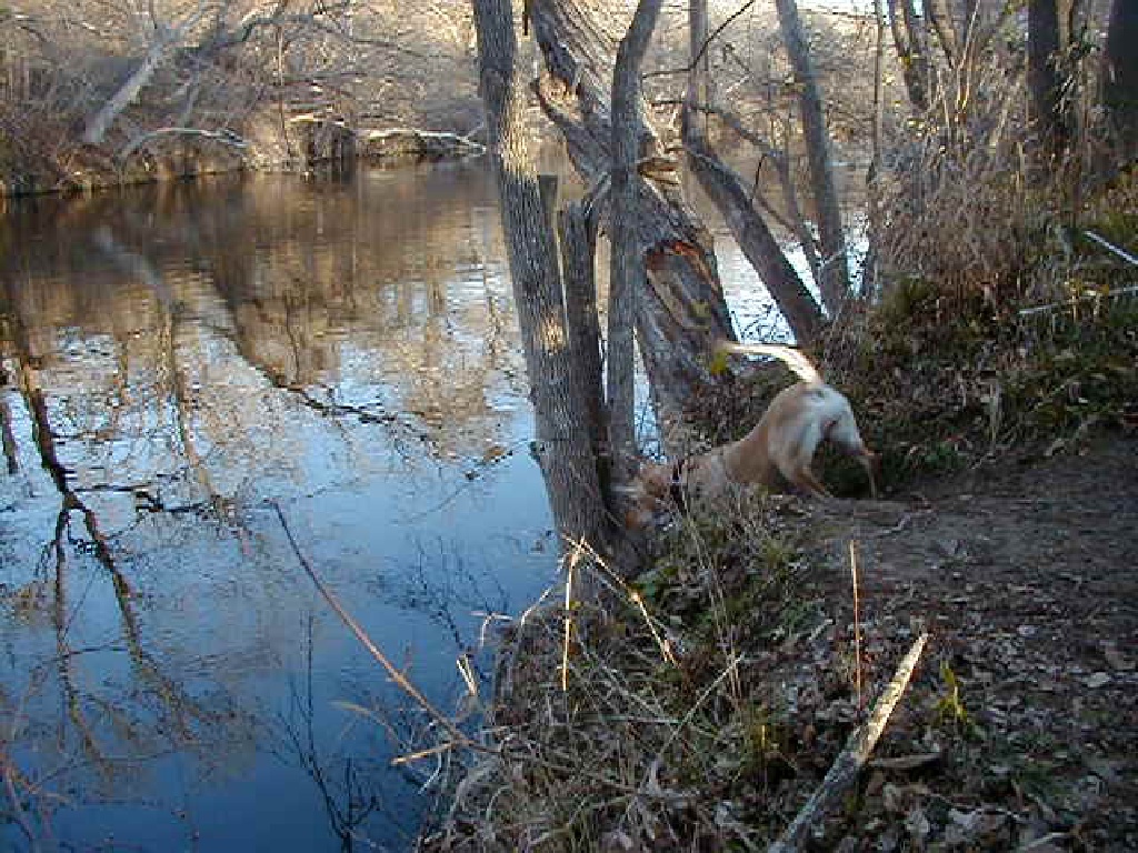 2000/02(February)/camping/1024x768_2000-02-04-Camping-09.jpg