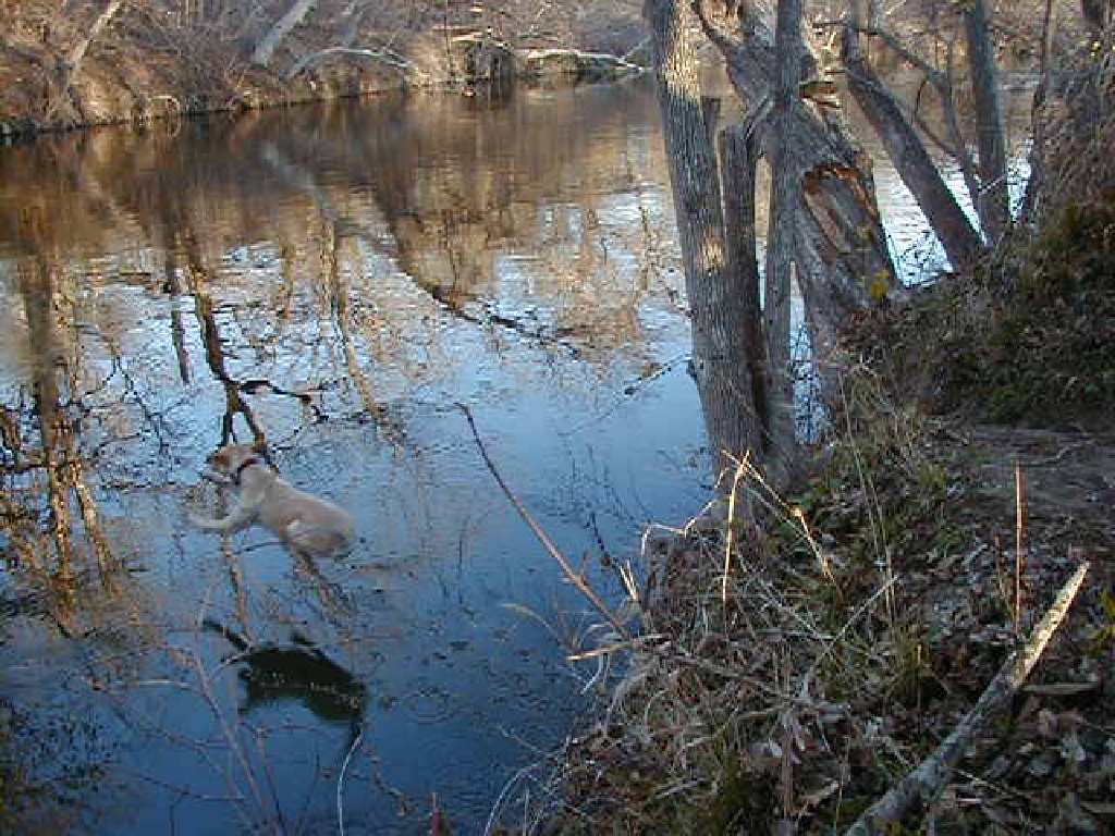 2000/02(February)/camping/1024x768_2000-02-04-Camping-12.jpg
