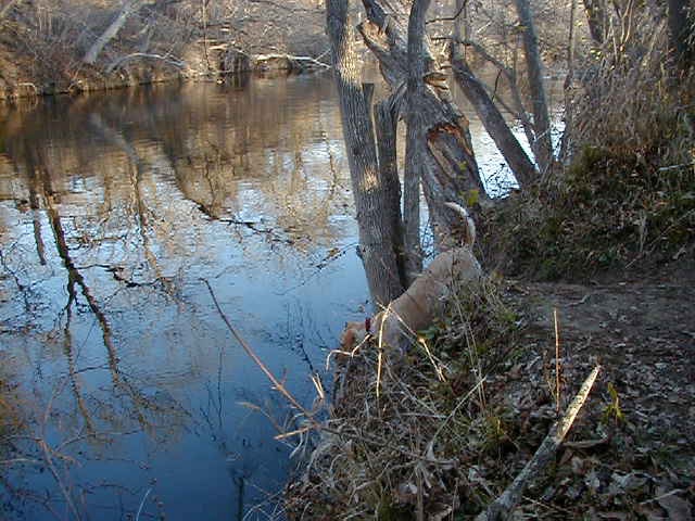 2000/02(February)/camping/640x480_2000-02-04-Camping-10.jpg