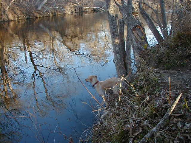 2000-02-04-Camping-11.jpg