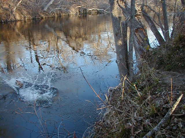 2000/02(February)/camping/640x480_2000-02-04-Camping-13.jpg