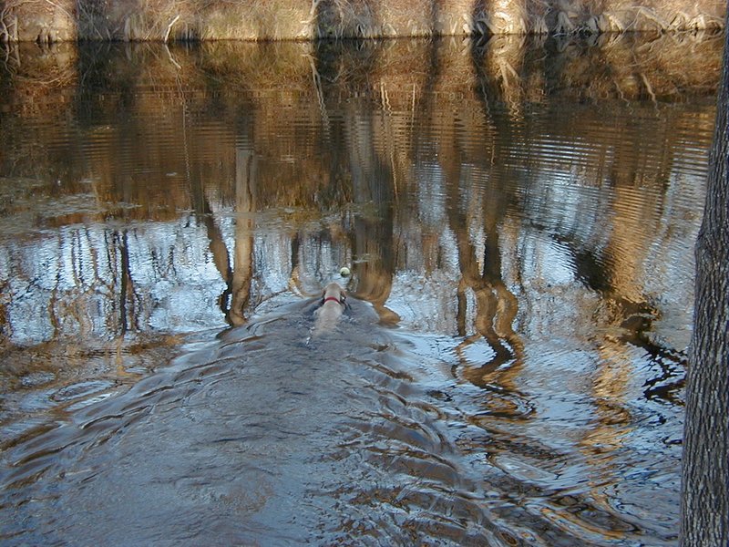 2000-02-04-Camping-07.jpg