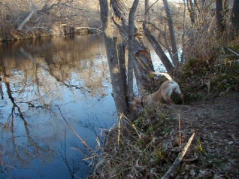 2000/02(February)/camping/800x600_2000-02-04-Camping-09.jpg