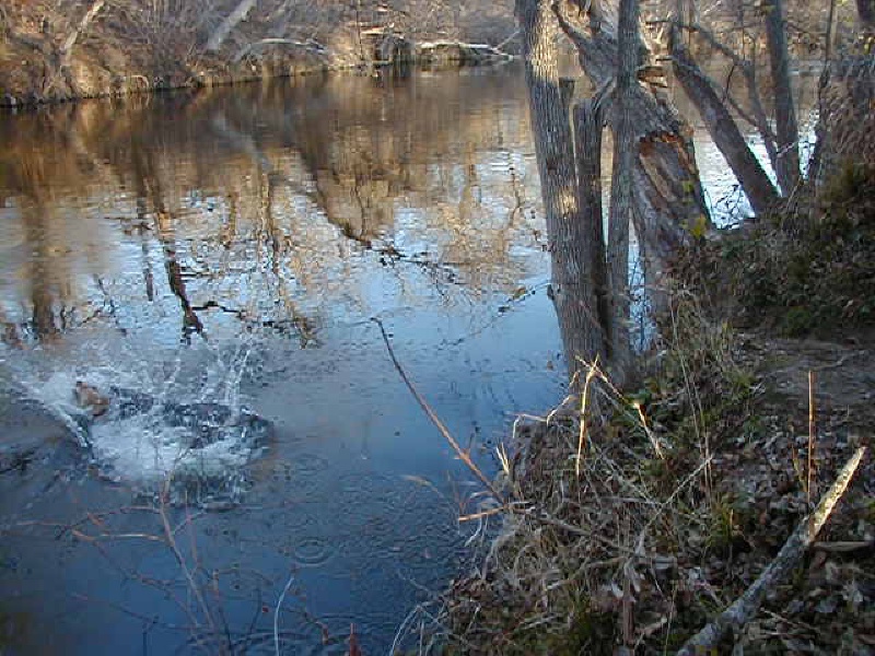 2000/02(February)/camping/800x600_2000-02-04-Camping-13.jpg