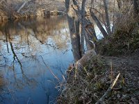 2000-02-04-Camping-10.jpg
