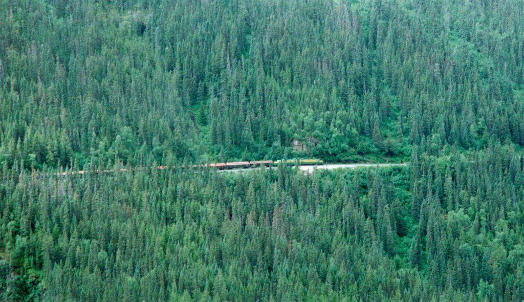 2000/07(July)/Alaska-Cruise-Lasater/1024x768_2000-07-Train-In-Forest-In-Skagway.jpg