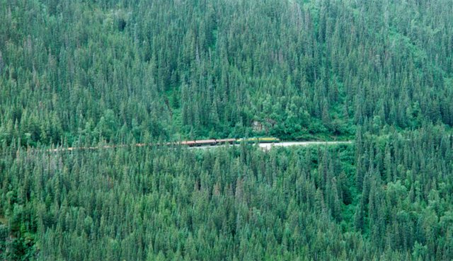 2000/07(July)/Alaska-Cruise-Lasater/640x480_2000-07-Train-In-Forest-In-Skagway.jpg