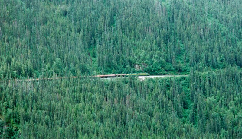 2000/07(July)/Alaska-Cruise-Lasater/800x600_2000-07-Train-In-Forest-In-Skagway.jpg