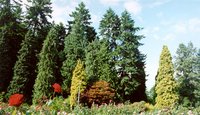 2000-07-Stanley-Park-Garden-In-Vancouver.jpg
