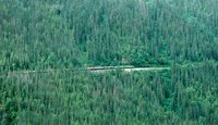 2000-07-Train-In-Forest-In-Skagway.jpg