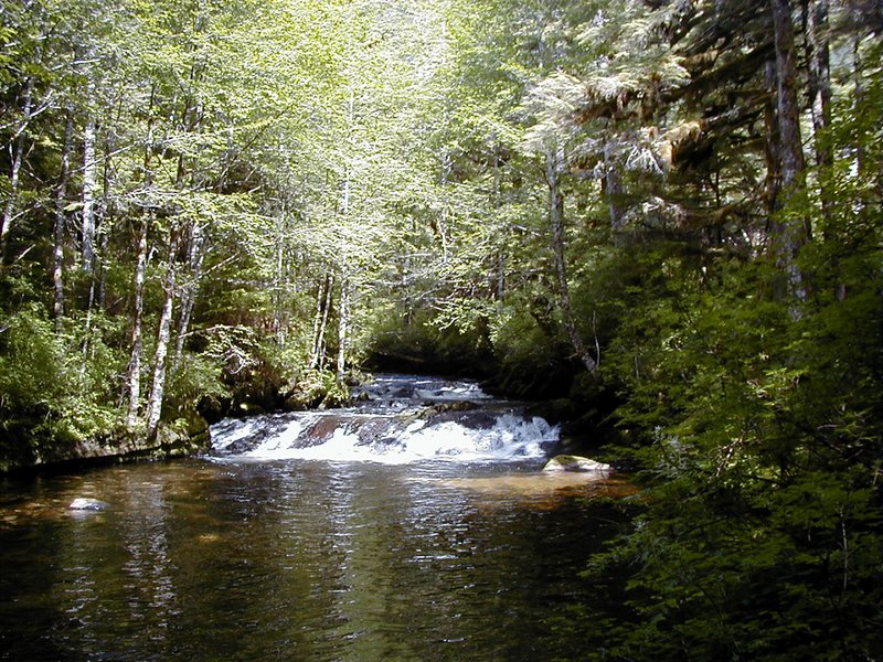 2000-07-08-Alaska-Cruise-07-Hiking-Ketchikan.jpg