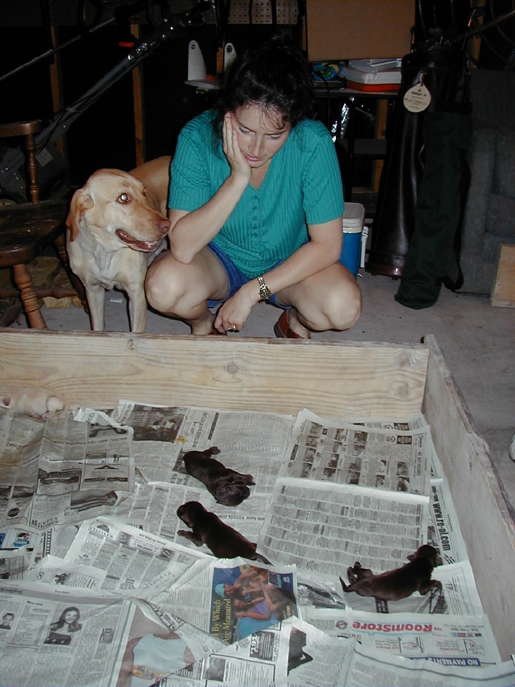 2000-07-15-Dakota-Puppies-1.jpg