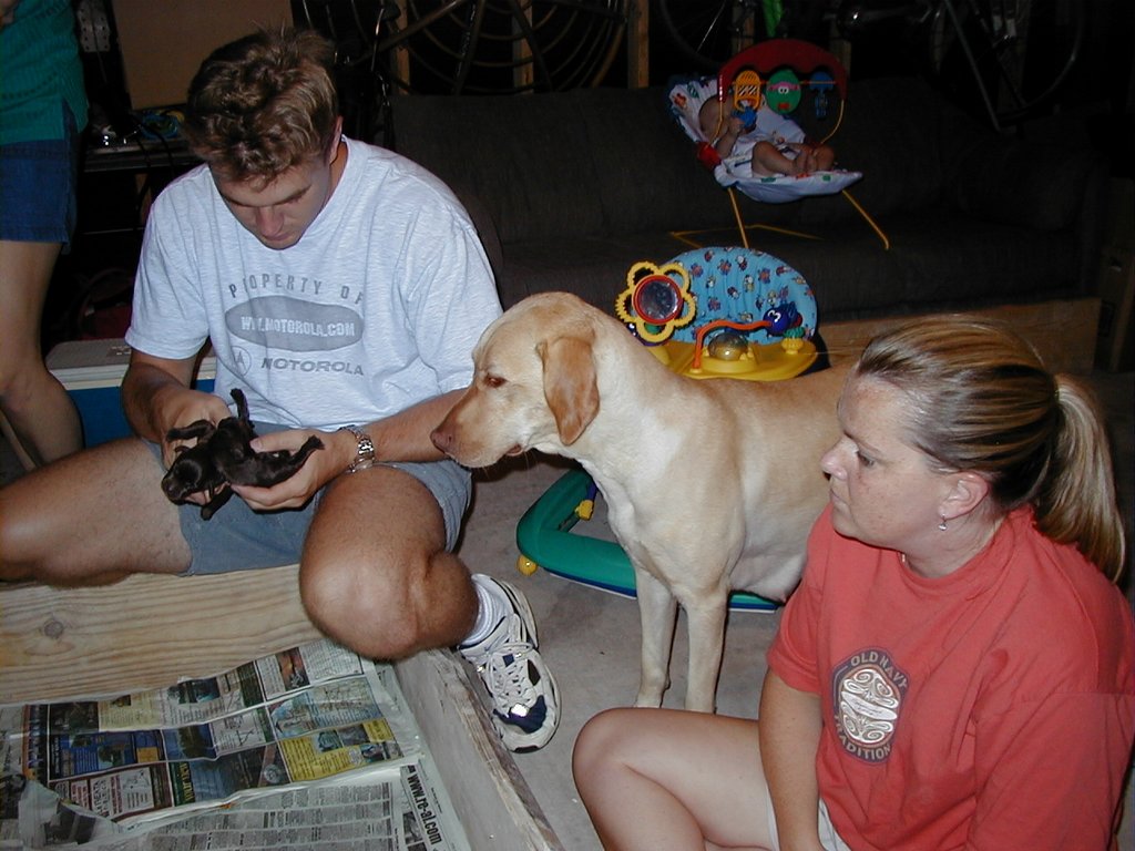 2000-07-15-Dakota-Puppies-3.jpg