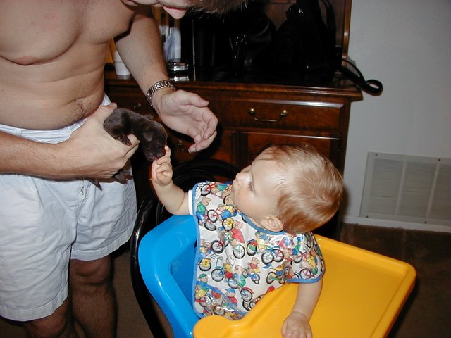2000-07-15-Dakota-Puppies-6.jpg