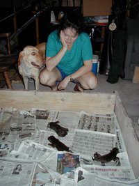 2000-07-15-Dakota-Puppies-1.jpg