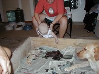 2000-07-15-Dakota-Puppies-5.jpg