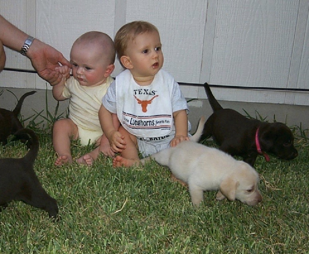 2000-08-11-Puppies-Vale-Chance-4.JPG