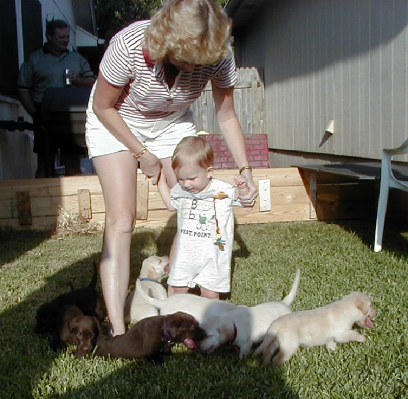 2000/08(August)/Misc/800x600_2000-08-11-Janeen-Chance-Puppies-02.JPG