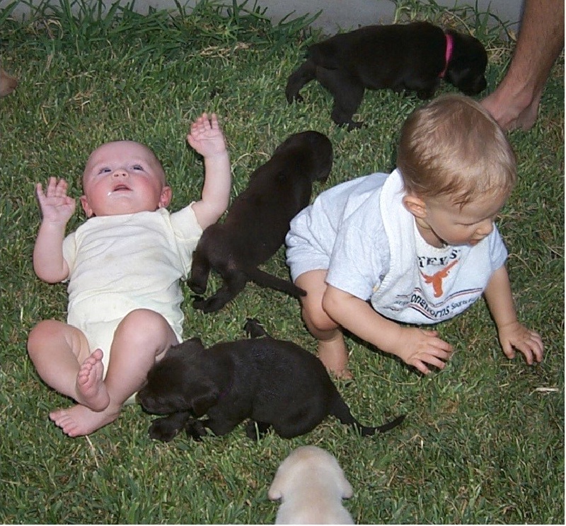 2000/08(August)/Misc/800x600_2000-08-11-Puppies-Vale-Chance-3.JPG