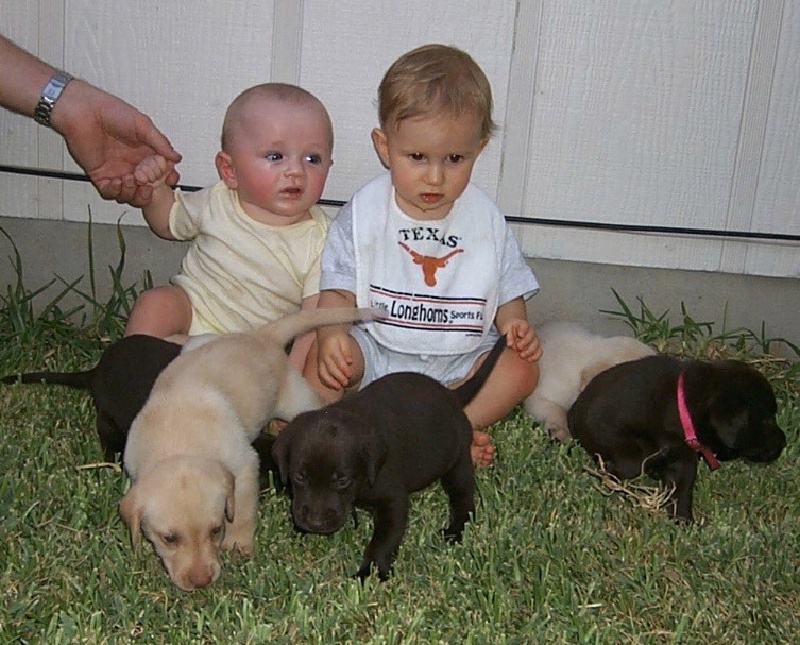 2000/08(August)/Misc/800x600_2000-08-11-Puppies-Vale-Chance-5.JPG