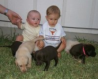 2000-08-11-Puppies-Vale-Chance-5.JPG