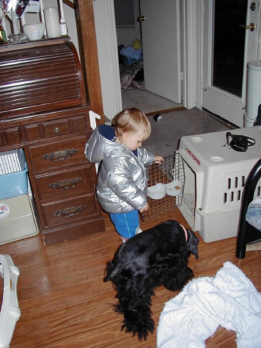2000-11-10-Chance-Scout-kennel-1.jpg