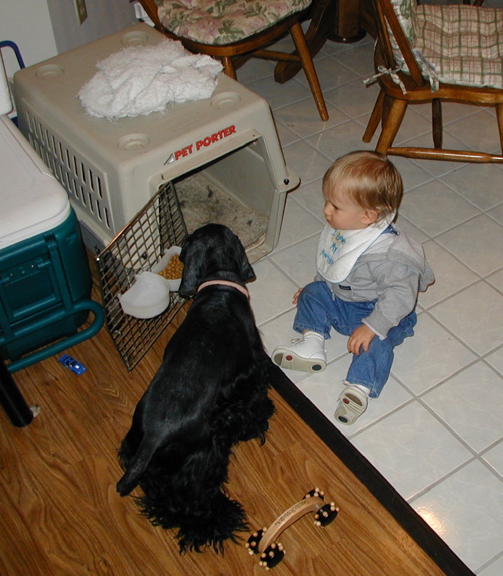 2000-11-11-Chance-Scout-kennel-1.jpg