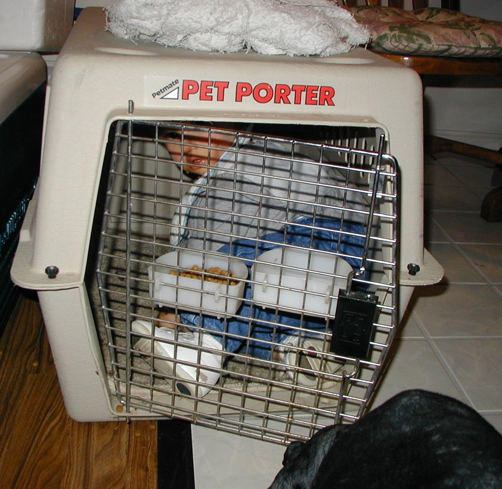 2000-11-11-Chance-Scout-kennel-2.jpg