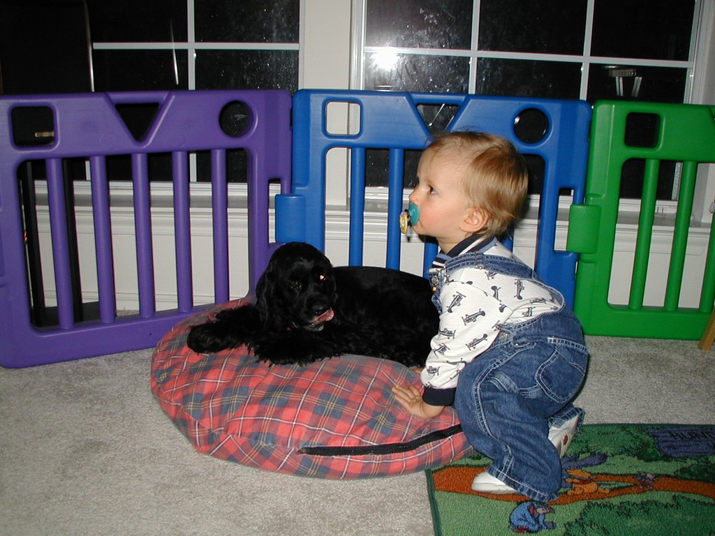 2000-11-23-Thanksgiving-Chance-Scout-06.jpg