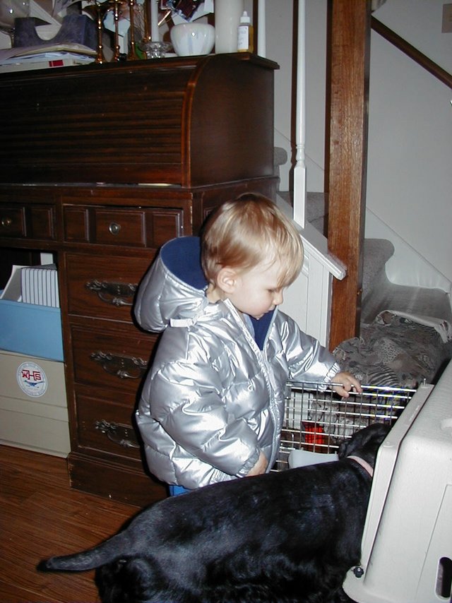 2000/11(November)/Misc/640x480_2000-11-10-Chance-Scout-kennel-3.jpg