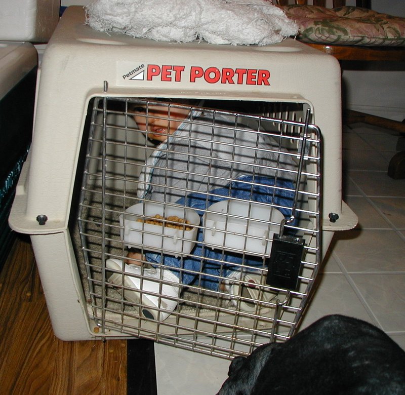 2000-11-11-Chance-Scout-kennel-2.jpg